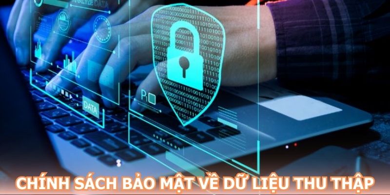 Chính sách bảo mật NEW88 về dữ liệu thu thập