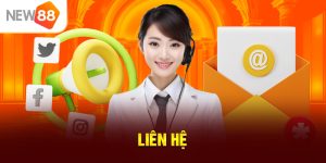 Liên Hệ New88