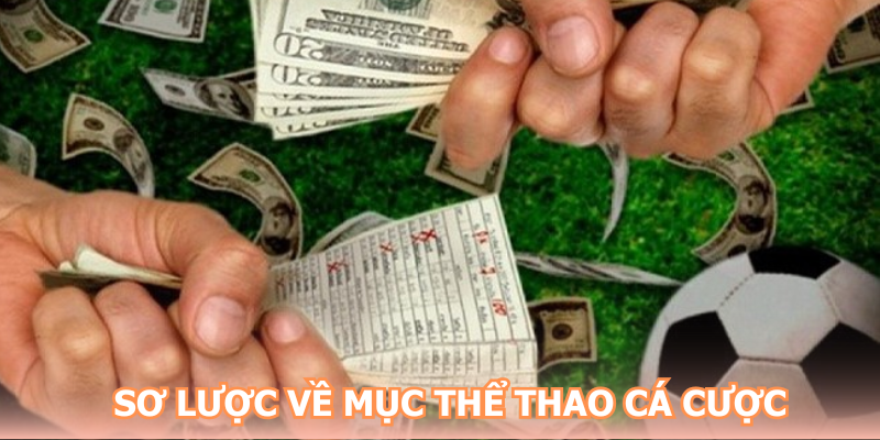 Sơ lược về mục Thể thao New88