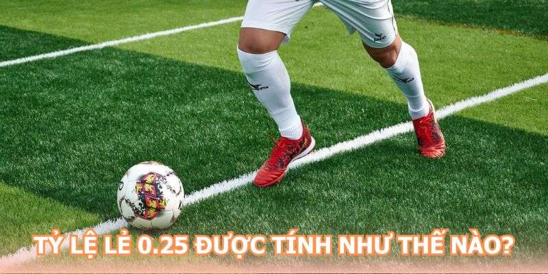 Tỷ lệ lẻ 0.25 được tính như thế nào?